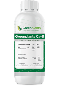 Greenplants Ca-B