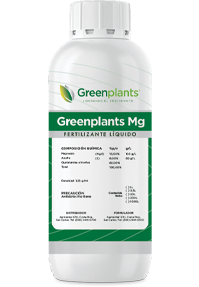 Greenplants MG