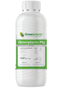 GREENPLANTS-MG	(Q-ELATO)