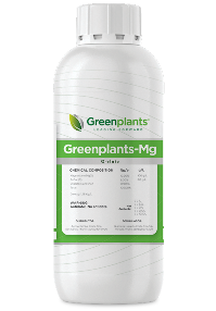 GREENPLANTS-MG	(Q-ELATO)