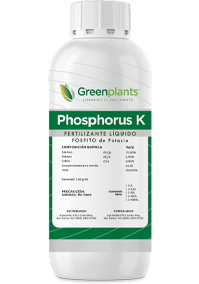 Phosphorus K