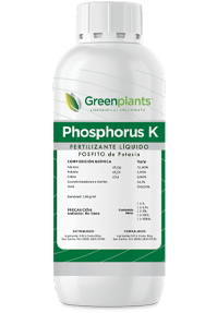 Phosphorus K