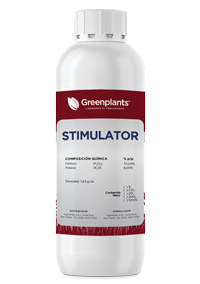 STIMULATOR