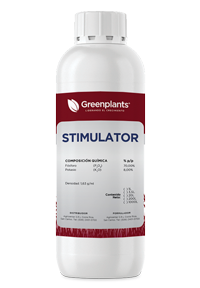 STIMULATOR