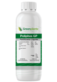 Poliphos GP